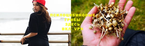 мяу мяу мука Новодвинск