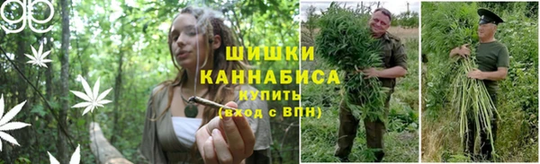 гашиш Новозыбков