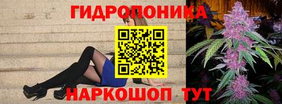 прущие грибы Аргун