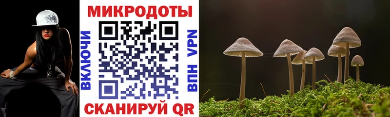 Псилоцибиновые грибы Magic Shrooms  Балахна 